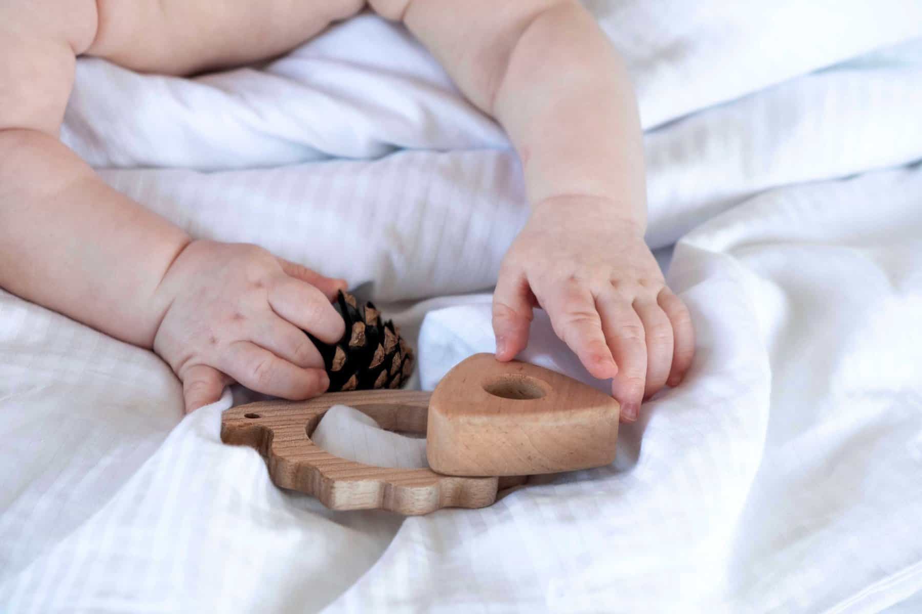 wooden-toys-teethers-and-pine-cone-and-baby-hands-2023-03-23-08-18-30-utc-2 wooden-toys-teethers-and-pine-cone-and-baby-hands-2023-03-23-08-18-30-utc-2